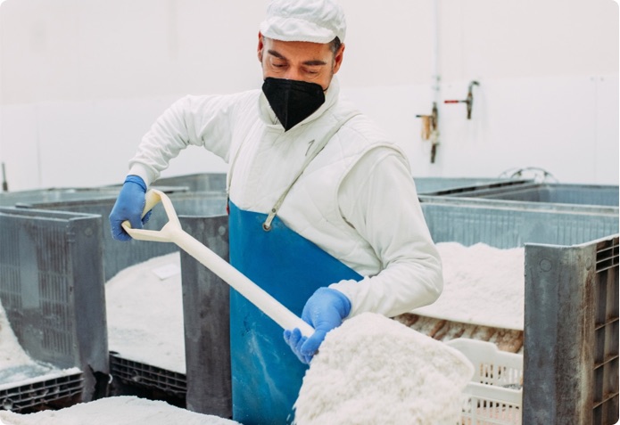 Proceso tradicional para elaborar los salazones