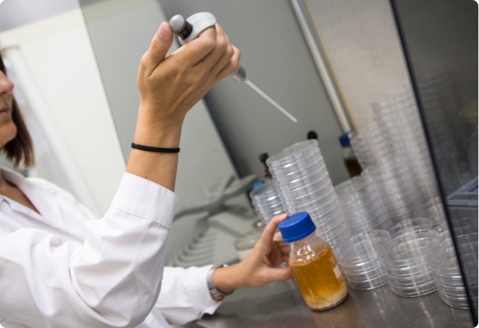 Innovación para elaborar los mejores salazones